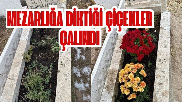 Mezarlığa diktiği çiçekler çalındı