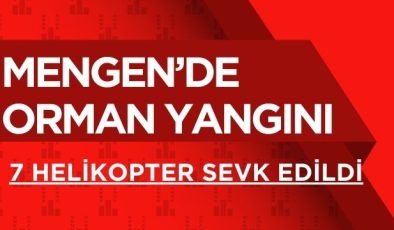 MENGEN’DE ORMAN YANGINI