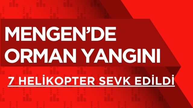 MENGEN’DE ORMAN YANGINI