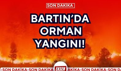 BARTIN’DA ORMAN YANGINI!