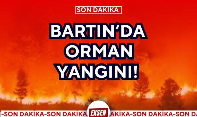 BARTIN’DA ORMAN YANGINI!