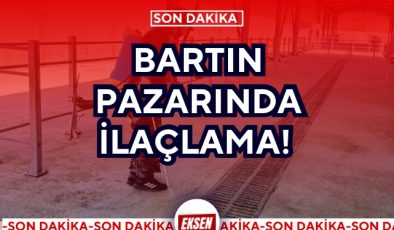 BARTIN PAZARINDA İLAÇLAMA! 