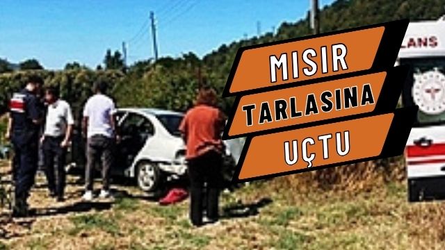 MISIR TARLASINA UÇTU: 2 YARALI