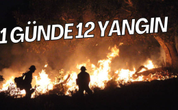1 GÜNDE 12 YANGIN
