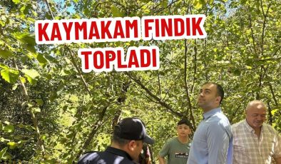  KAYMAKAM FINDIK TOPLADI