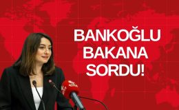 BANKOĞLU BAKANA SORDU!