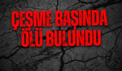 Şok Ölüm