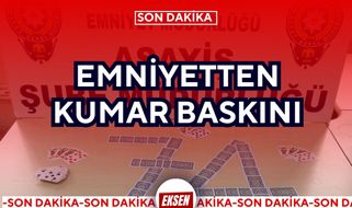 EMNİYETTEN KUMAR BASKINI