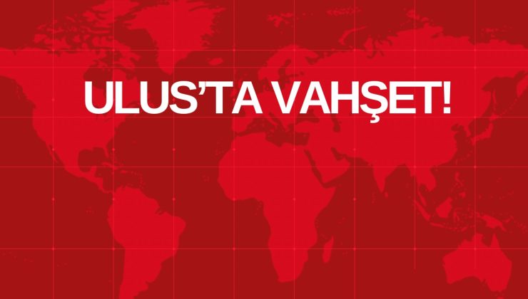 ULUS’TA VAHŞET! 