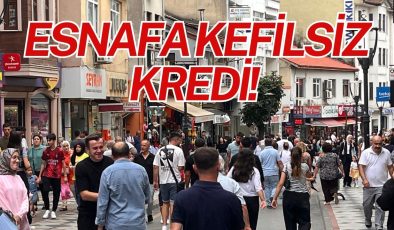 ESNAFA KEFİLSİZ KREDİ!