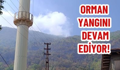 ORMAN YANGINI DEVAM EDİYOR