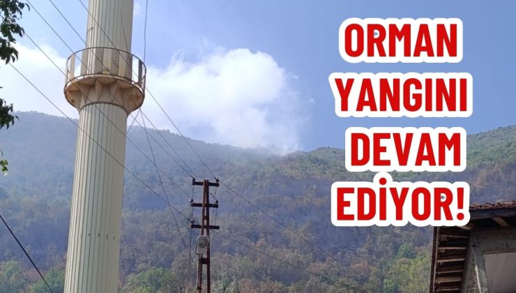 ORMAN YANGINI DEVAM EDİYOR