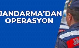 Jandarma’dan operasyon