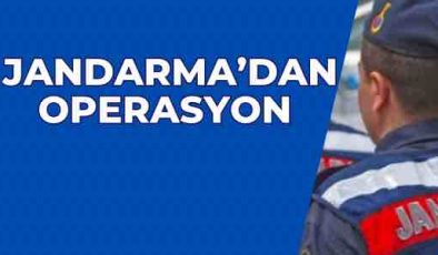 Jandarma’dan operasyon