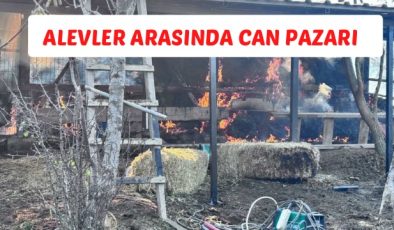 ALEVLER ARASINDA CAN PAZARI  