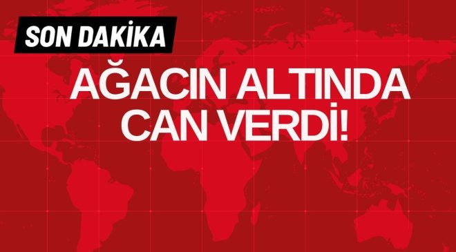 AĞACIN ALTINDA CAN VERDİ!