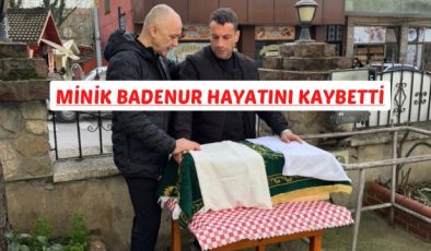 Minik Badenur Hayatını Kaybetti