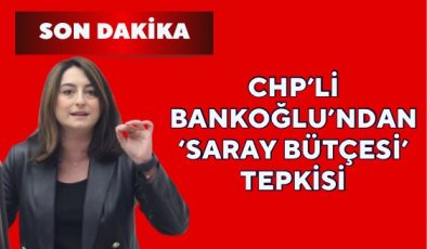 CHP’li Bankoğlu’ndan ‘Saray bütçesi’ tepkisi