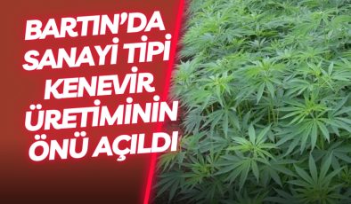Bartın’da Sanayi Tipi Kenevir Üretiminin Önü Açıldı