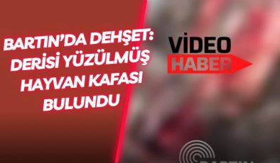 Bartın’da Dehşet: Derisi Yüzülmüş Hayvan Kafası Bulundu 