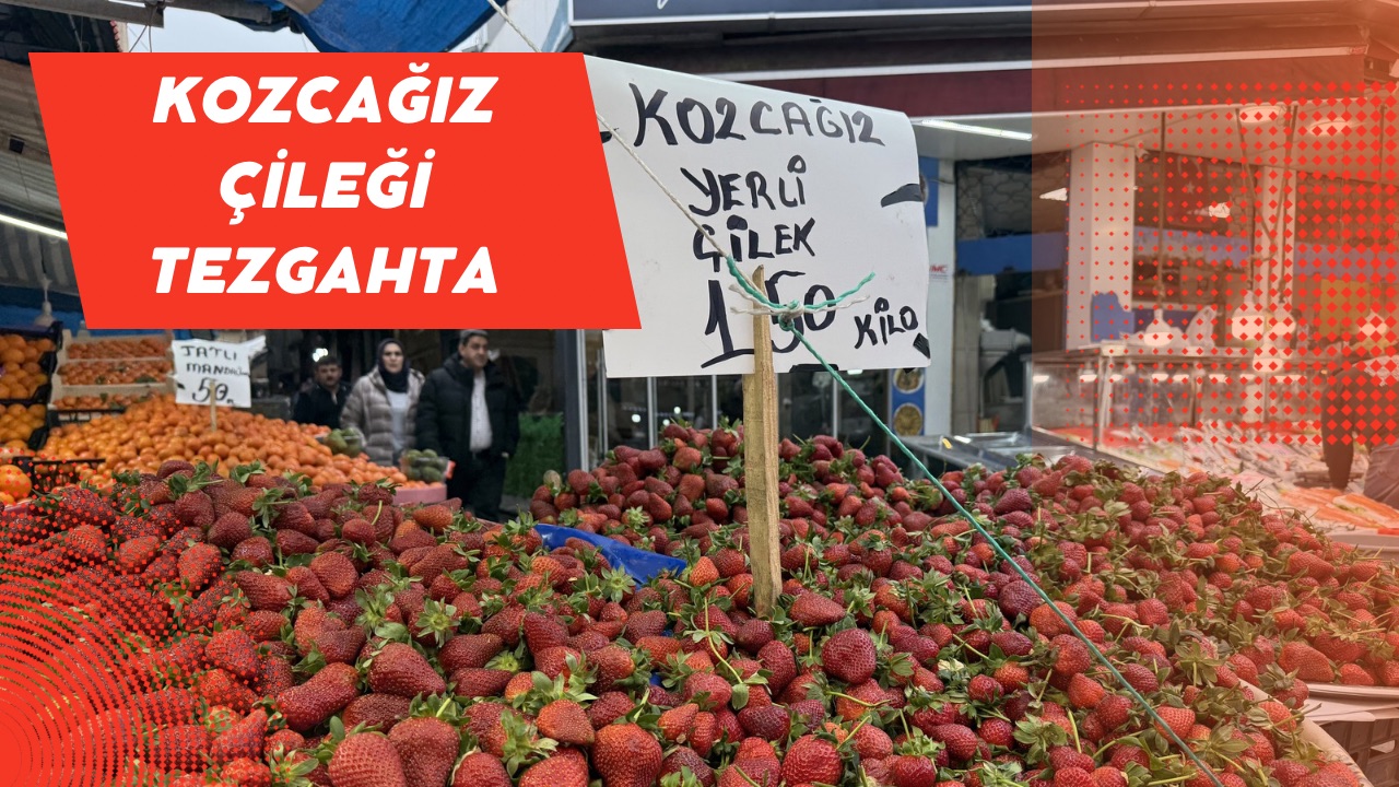KOZCAĞIZ ÇİLEĞİ TEZGAHTA 