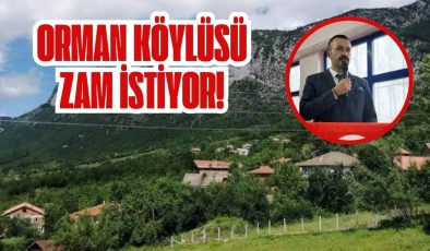 ORMAN KÖYLÜSÜ ZAM İSTİYOR! 