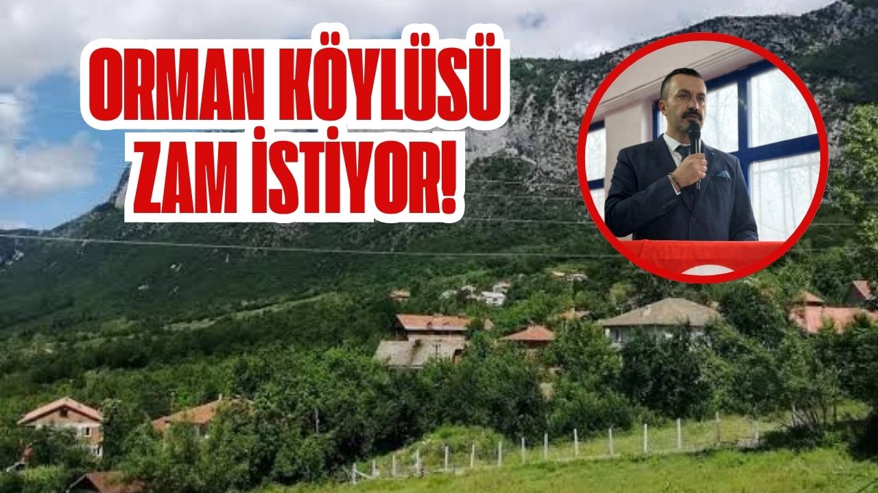ORMAN KÖYLÜSÜ ZAM İSTİYOR! 