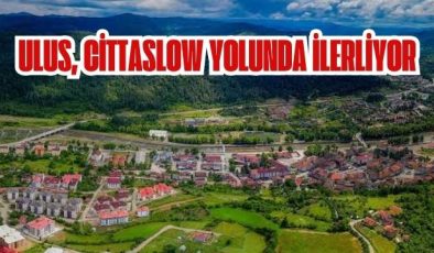 Ulus, Cittaslow Yolunda İlerliyor