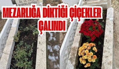 Mezarlığa diktiği çiçekler çalındı