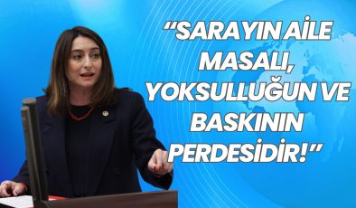 BANKOĞLU’NDAN CUMHURBAŞKANI ERDOĞAN’IN GENELGESİNE TEPKİ