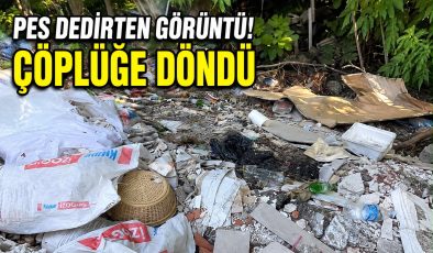 Pes Dedirten Görüntü! Çöplüğe Döndü
