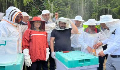 KUMLUCA’DA BAL HASADI